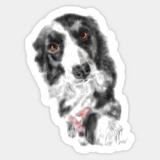 I Want Your Paw Border Collie Sticker